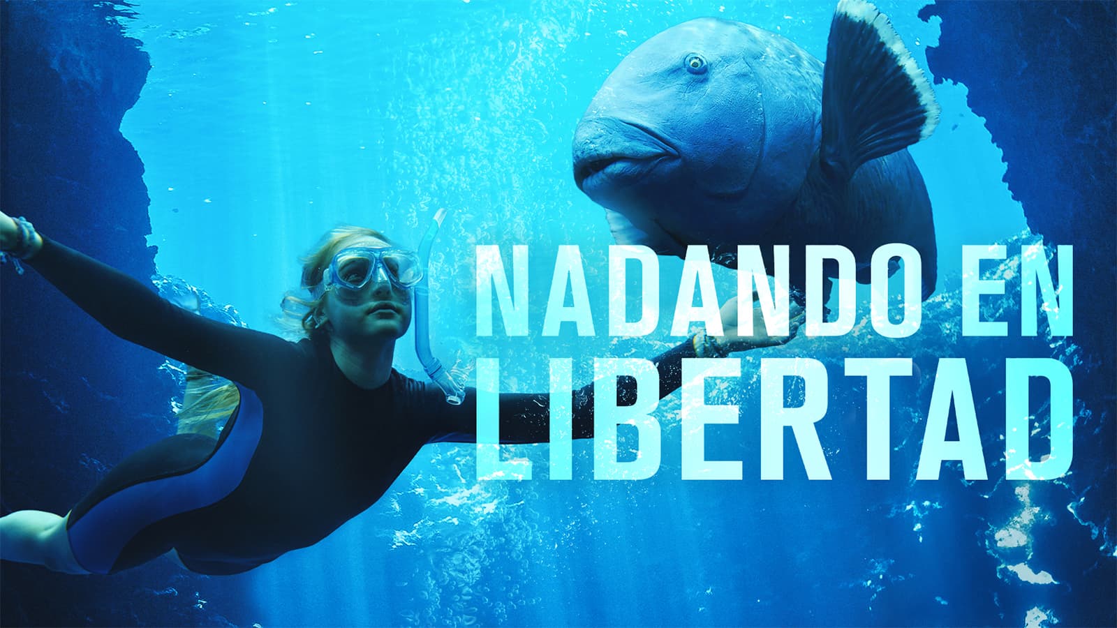Nadando en libertad