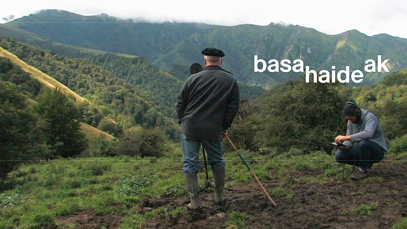 Basahaideak (Oihaneko zahainetan)