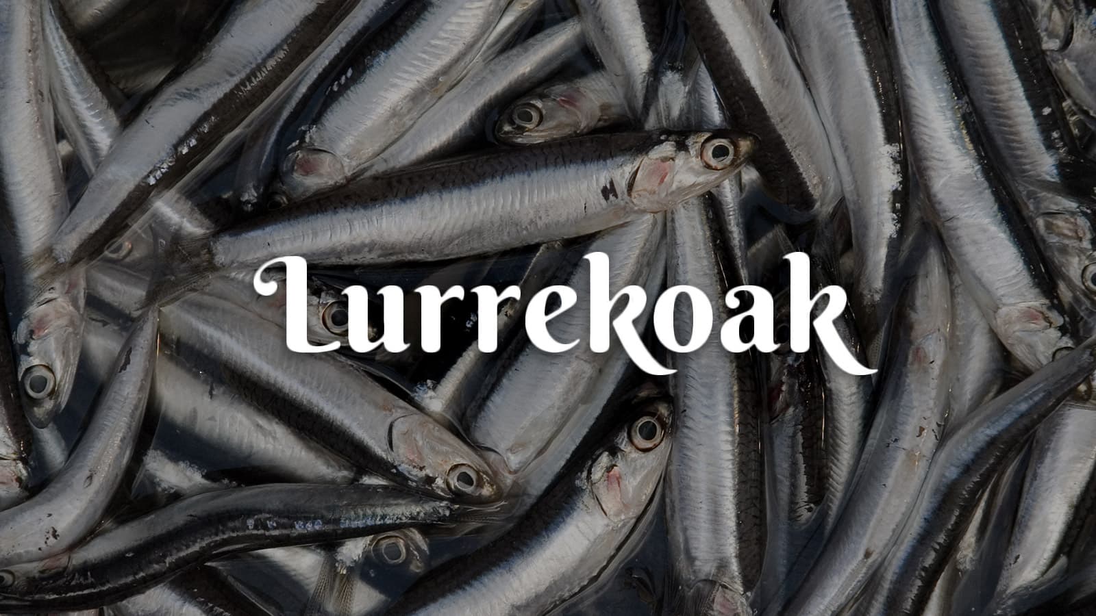 Lurrekoak