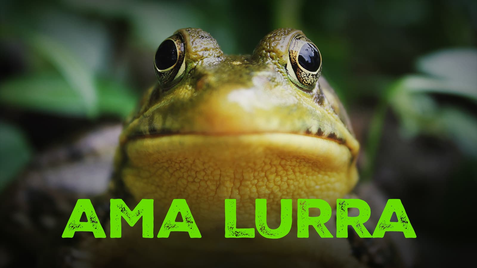 Ama Lurra