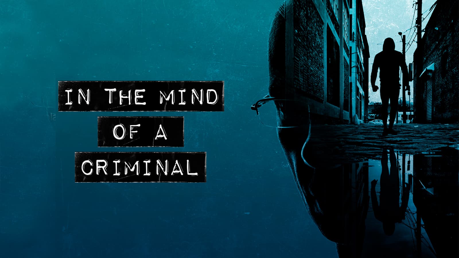 In the mind of a criminal