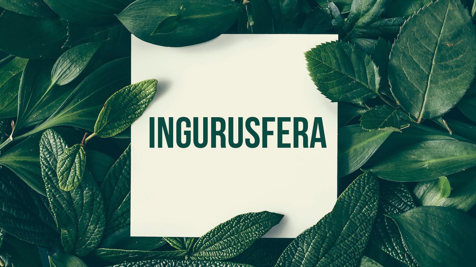 Ingurusfera