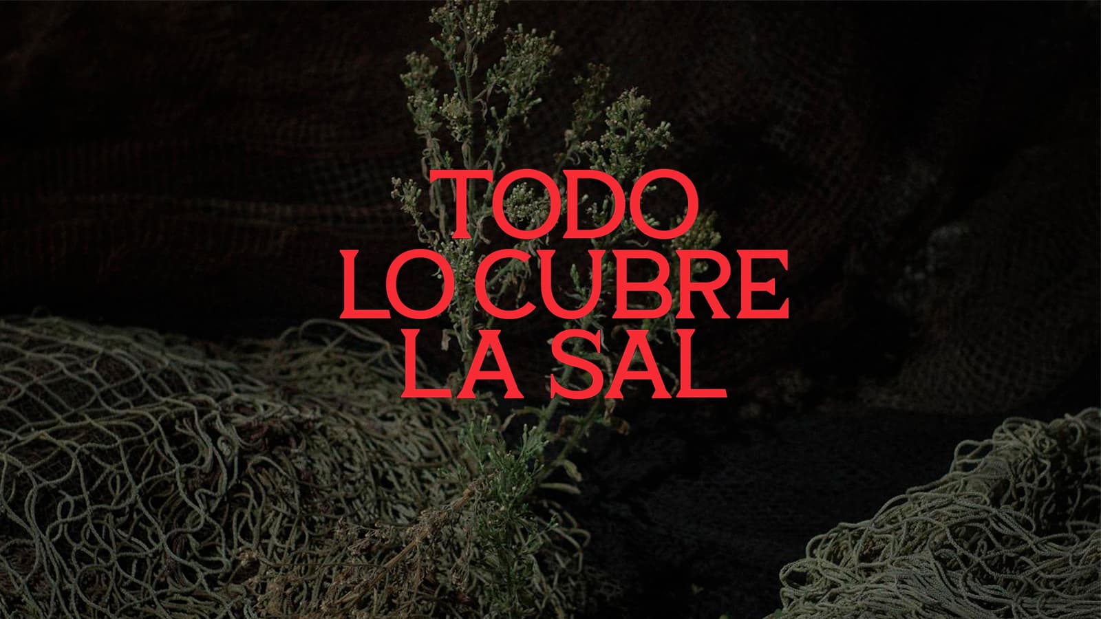 Todo lo cubre la sal