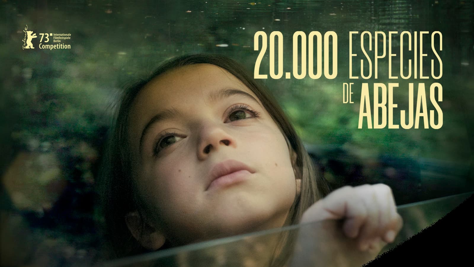 20.000 especies de abejas