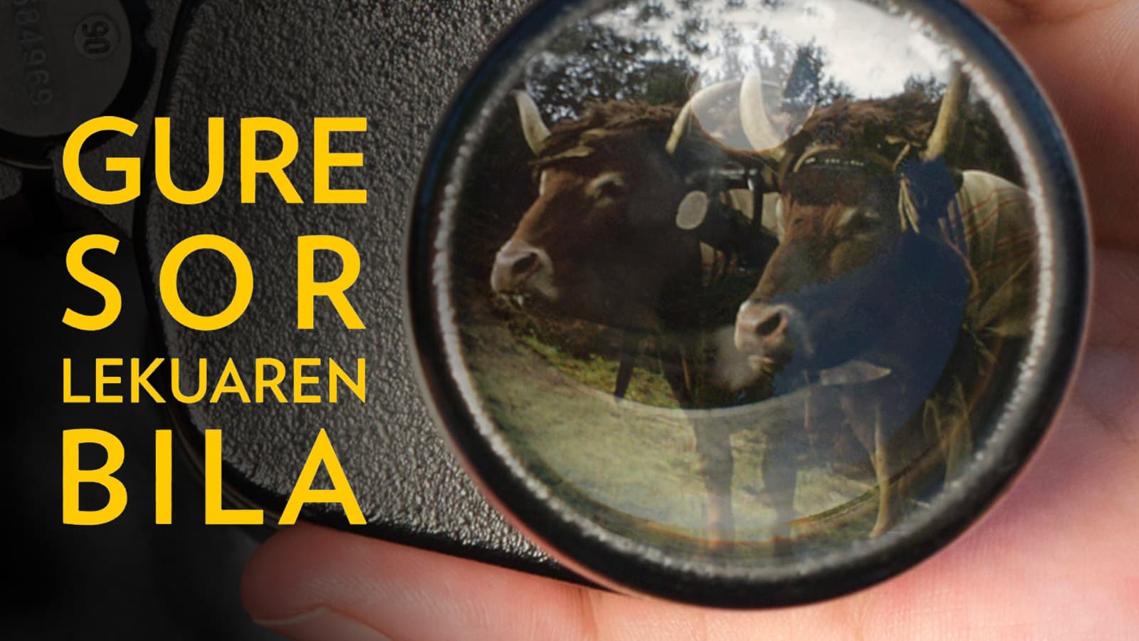 Gure sorlekuaren bila