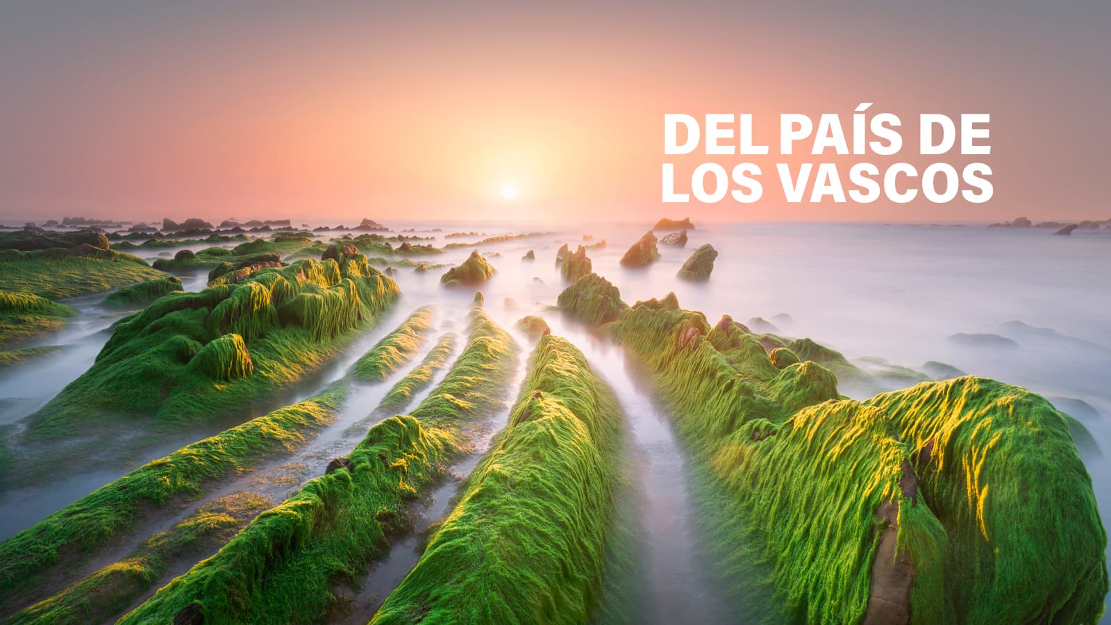 Del país de los vascos