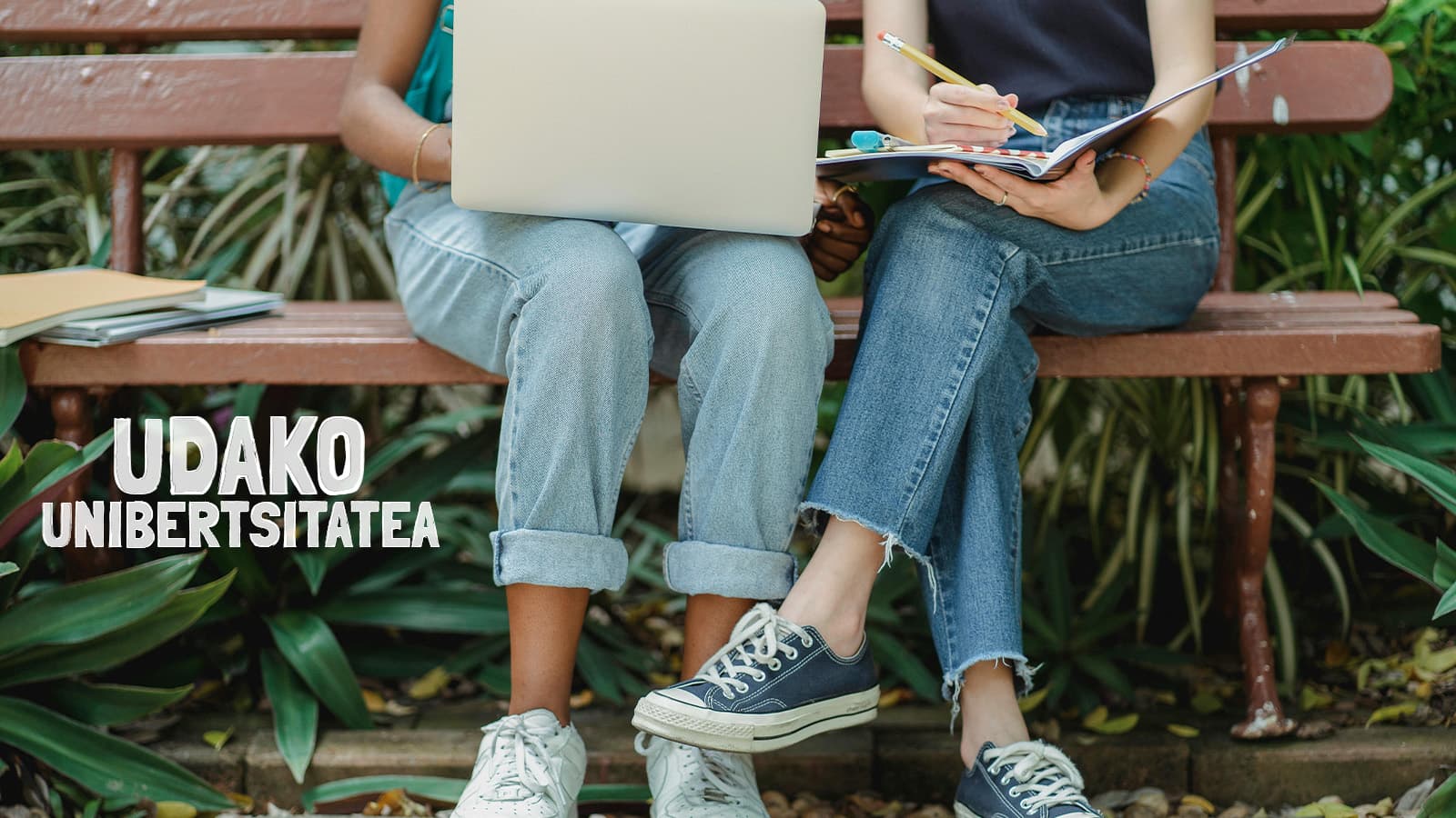 Udako unibertsitatea