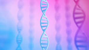 AlphaGenome: Una IA capaz de predecir las variaciones del ADN. De IIrulegi a Pompelo