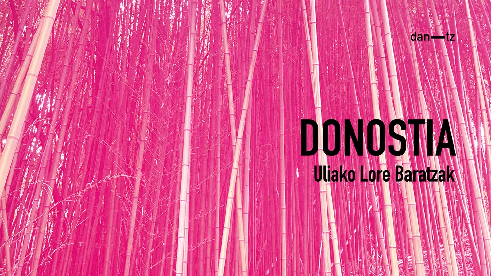 DANTZ POINT. Uliako mintegiak. Donostia.