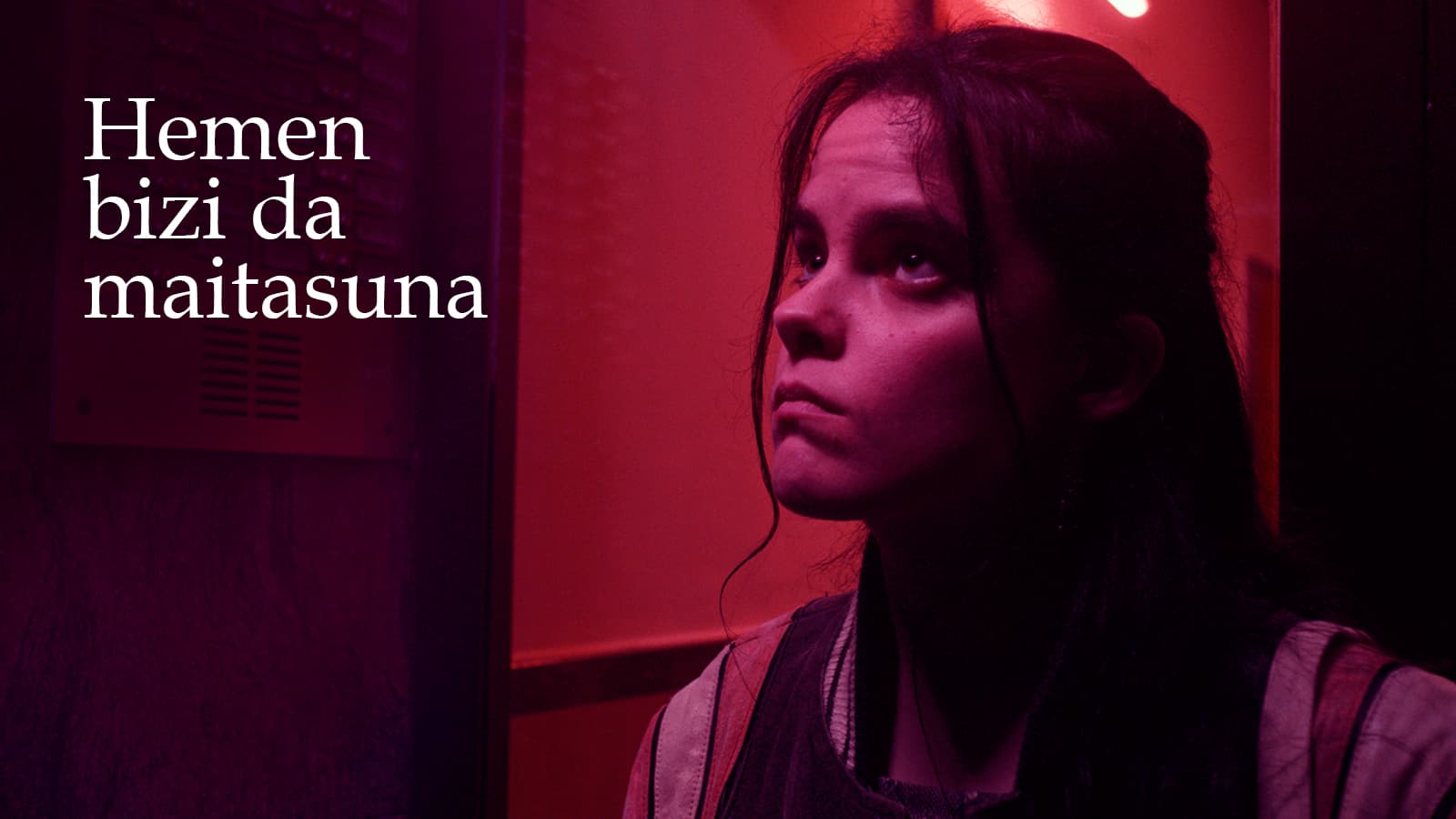 Hemen bizi da maitasuna