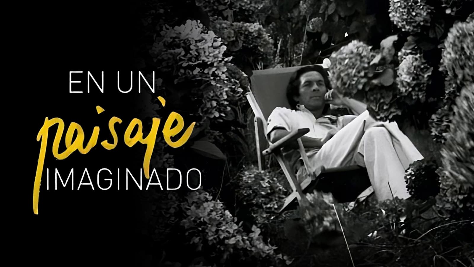 J. A. Sistiaga: Irudikatutako paisaian